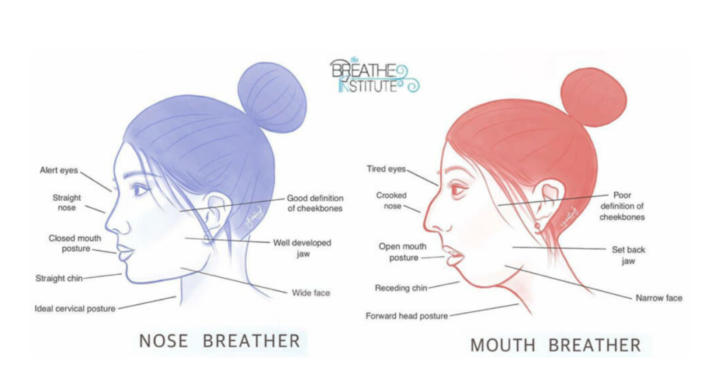 Nose Breathing vs Mouth Breathing 